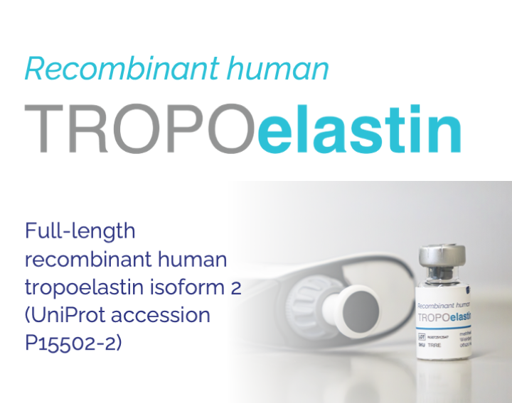 recombinant human Tropoelastin Recombinant human tropoelastin isoform 2, available for pre-order from September 1, 2015.